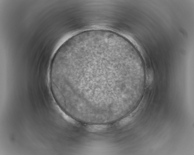 X0000110951294200907171621