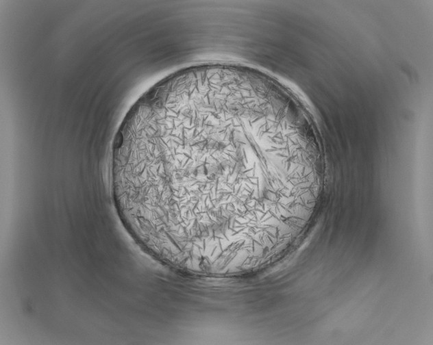 X0000110951295200907171621