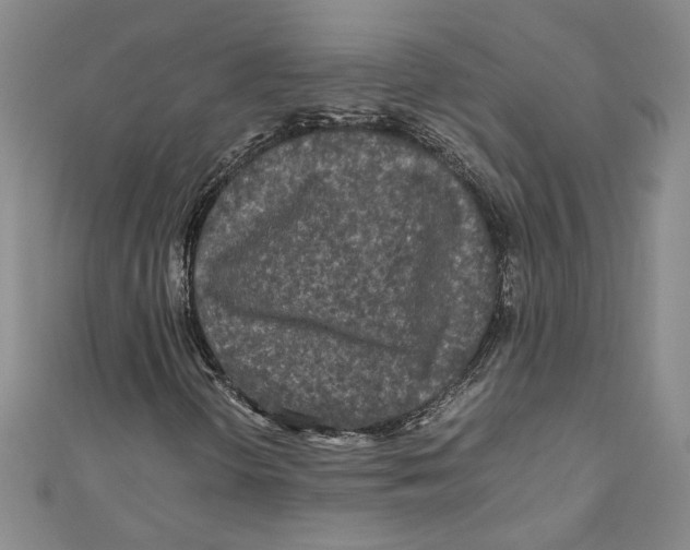 X0000110951298200907171620