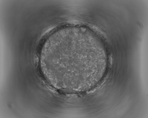 X0000110951302200907171620