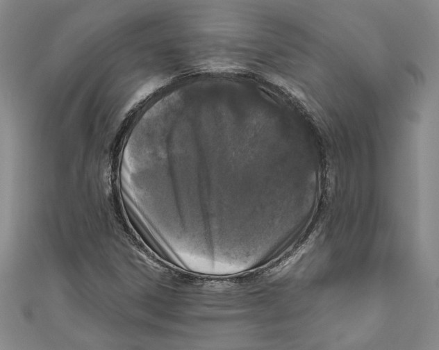 X0000110951306200907171620