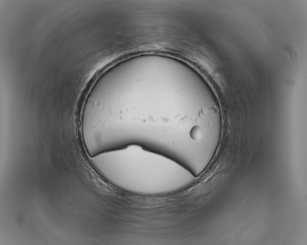 X0000110951308200907171620