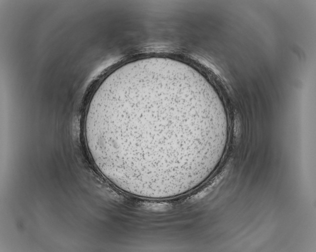 X0000110951309200907171620