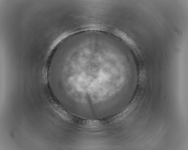 X0000110951310200907171620