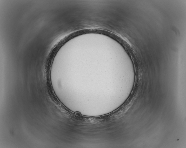 X0000110951311200907171620