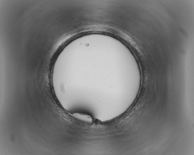 X0000110951312200907171620