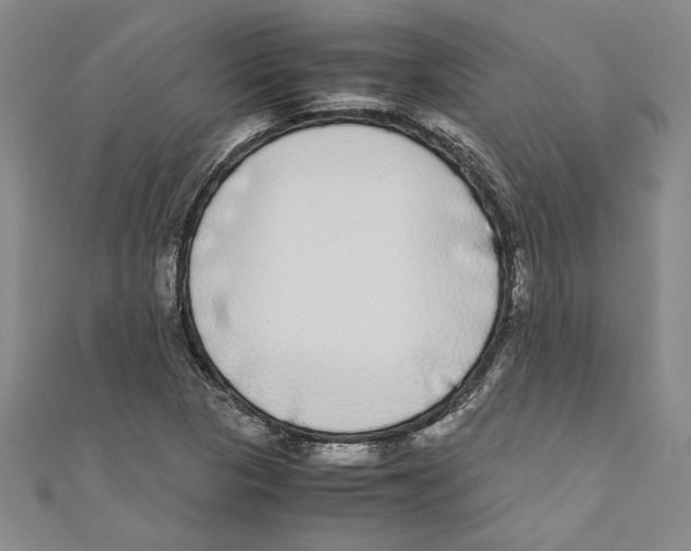 X0000110951313200907171620