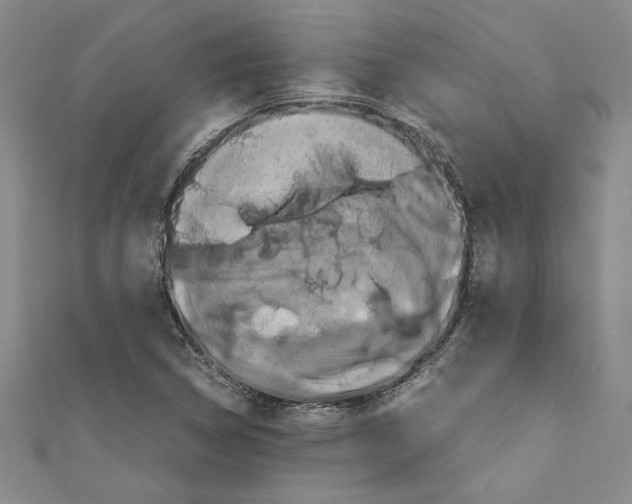 X0000110951314200907171620