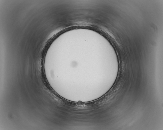 X0000110951315200907171620