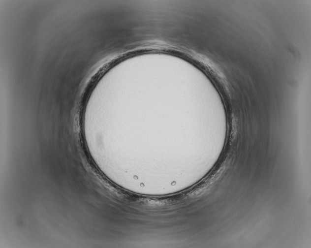 X0000110951318200907171620