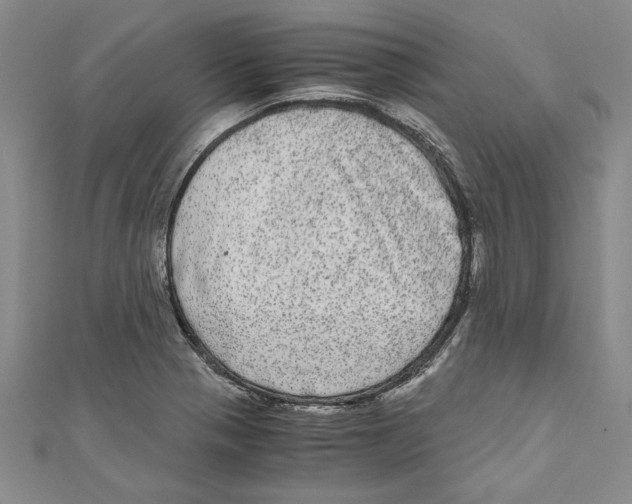 X0000110951321200907171620