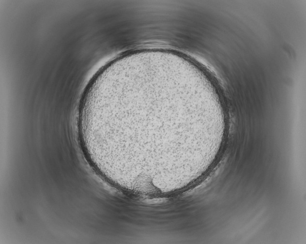 X0000110951325200907171620