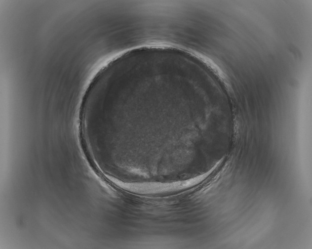 X0000110951327200907171620