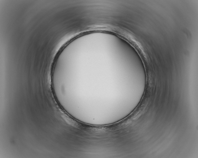 X0000110951328200907171620