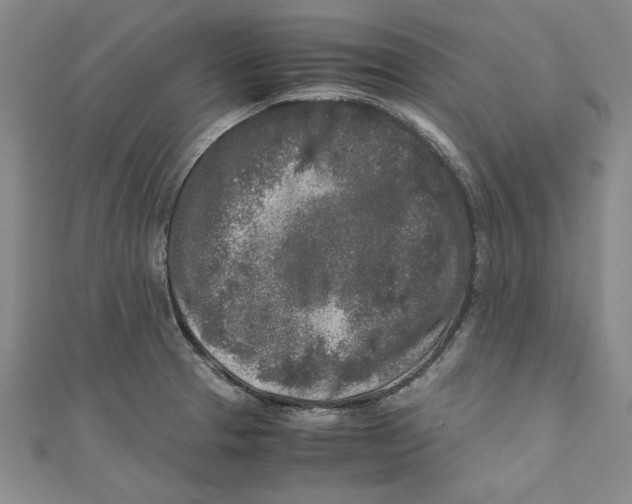 X0000110951329200907171620