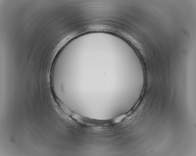 X0000110951330200907171620