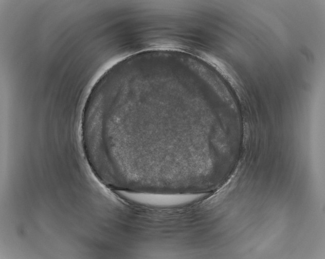 X0000110951331200907171620