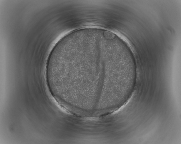 X0000110951333200907171620