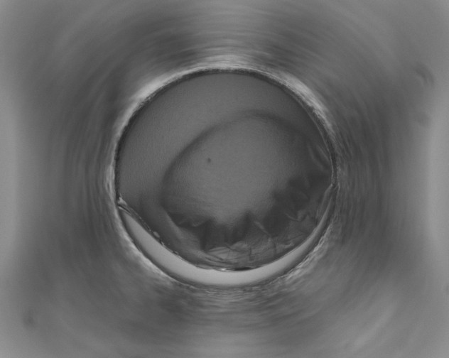 X0000110951334200907171620