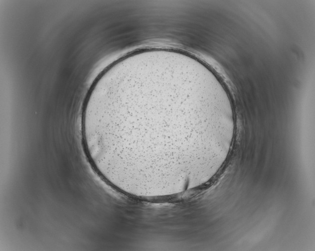 X0000110951335200907171620
