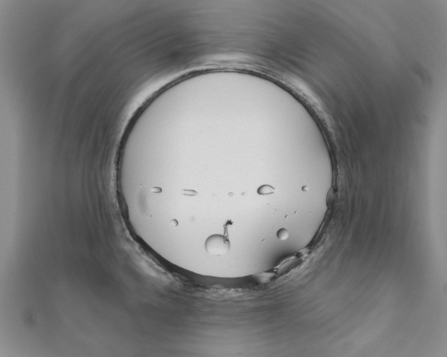 X0000110951336200907171620