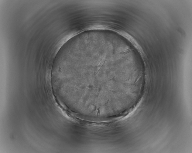 X0000110951337200907171620