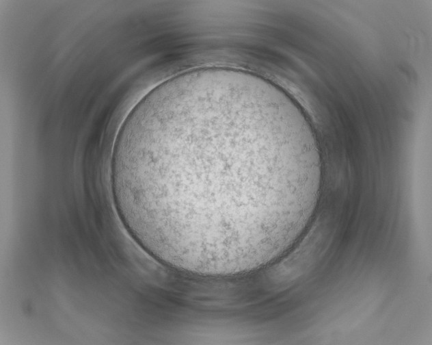 X0000110951338200907171620