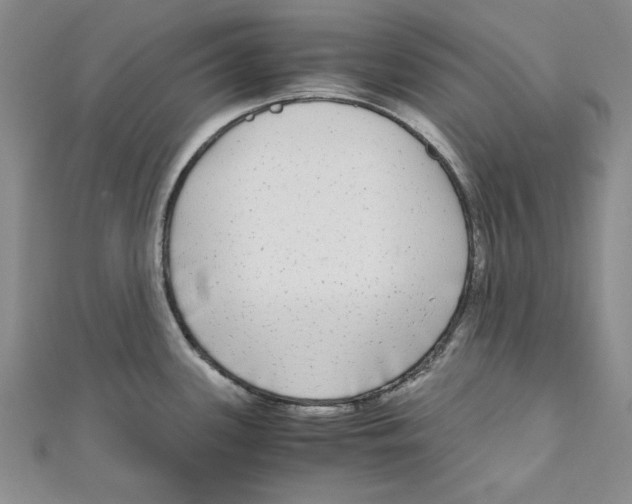 X0000110951339200907171620