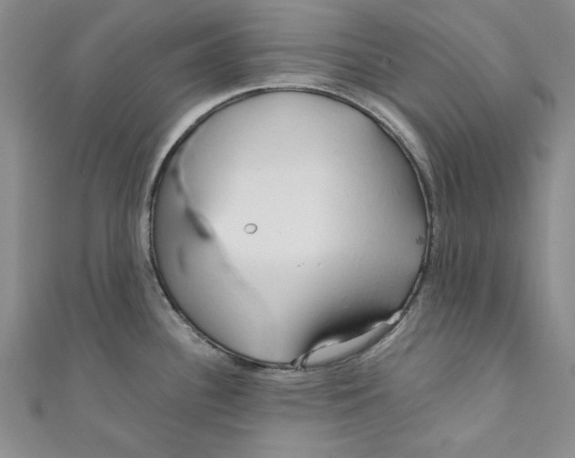 X0000110951340200907171620