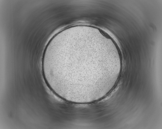 X0000110951341200907171620