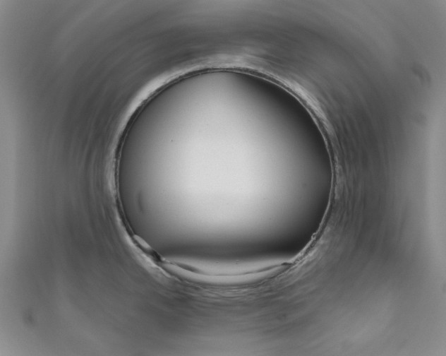 X0000110951342200907171620