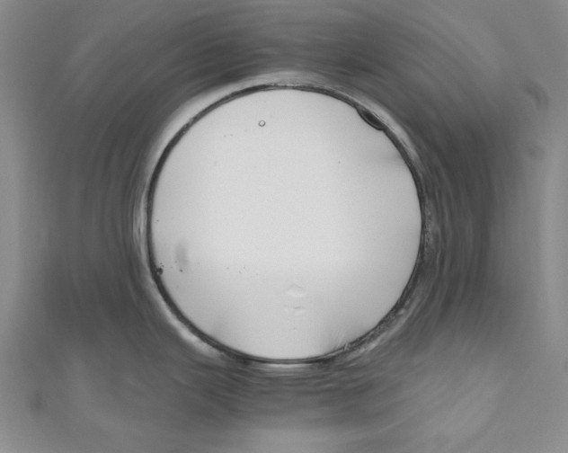 X0000110951343200907171620