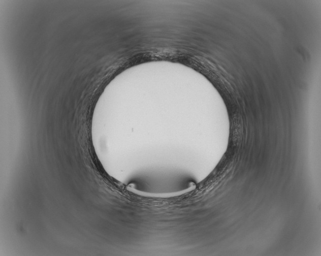 X0000110951345200907171620