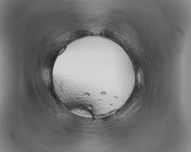 X0000110951347200907171620