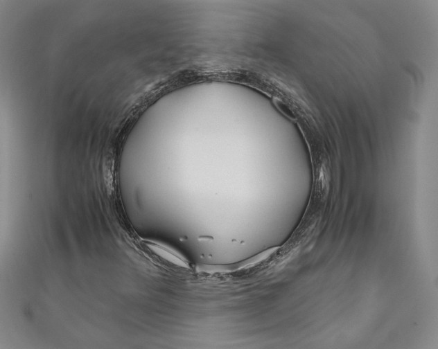 X0000110951348200907171620