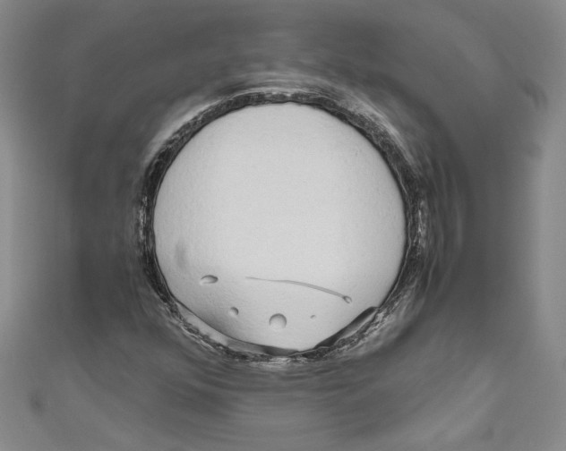 X0000110951352200907171620