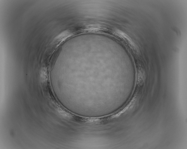 X0000110951353200907171620