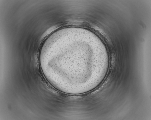 X0000110951354200907171620