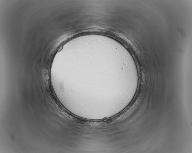 X0000110951355200907171620