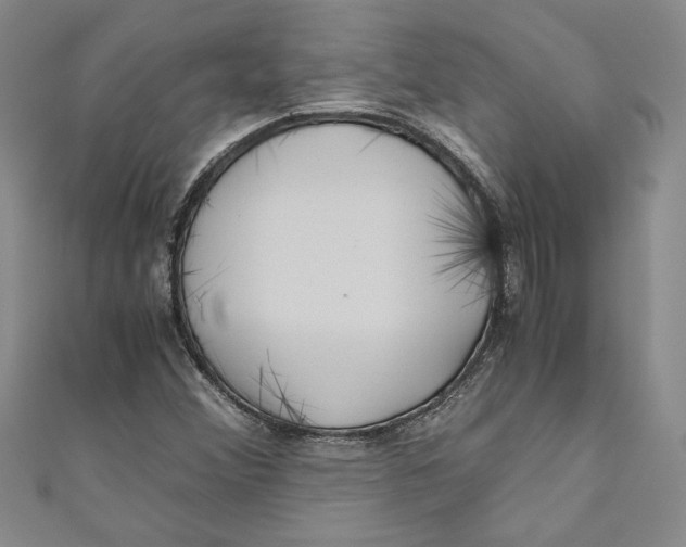 X0000110951356200907171620