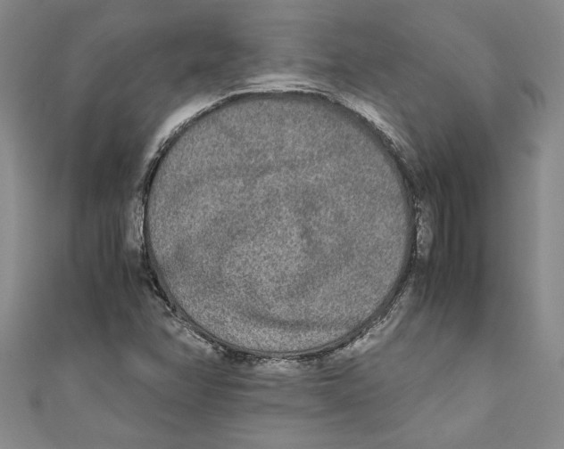 X0000110951358200907171620
