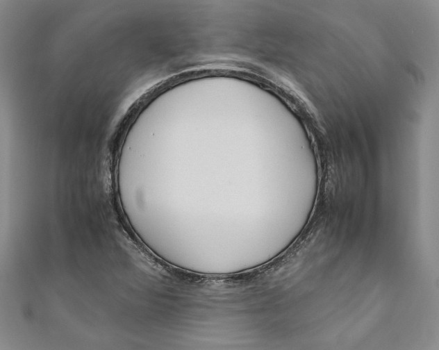 X0000110951360200907171620