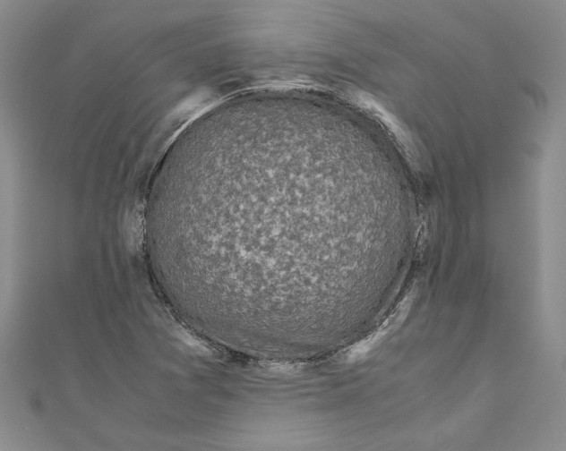 X0000110951361200907171620