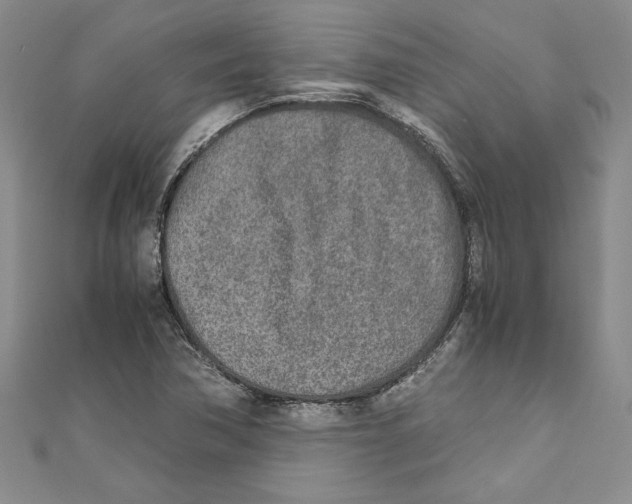 X0000110951362200907171620