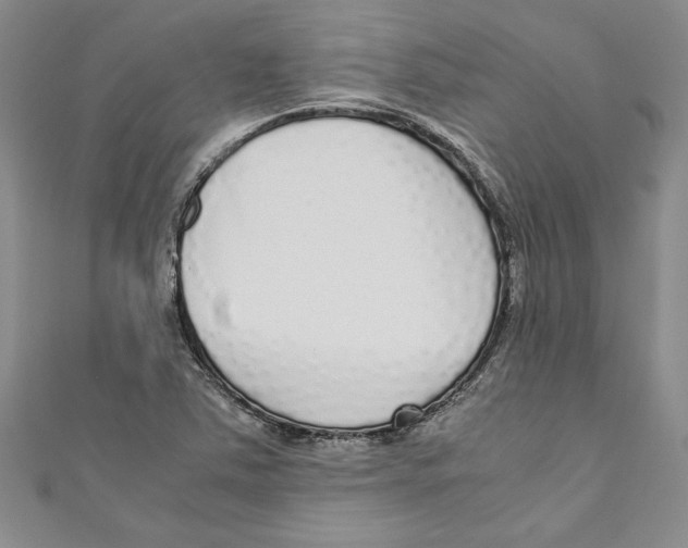 X0000110951363200907171620