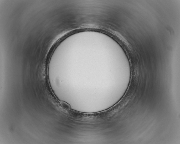 X0000110951364200907171620