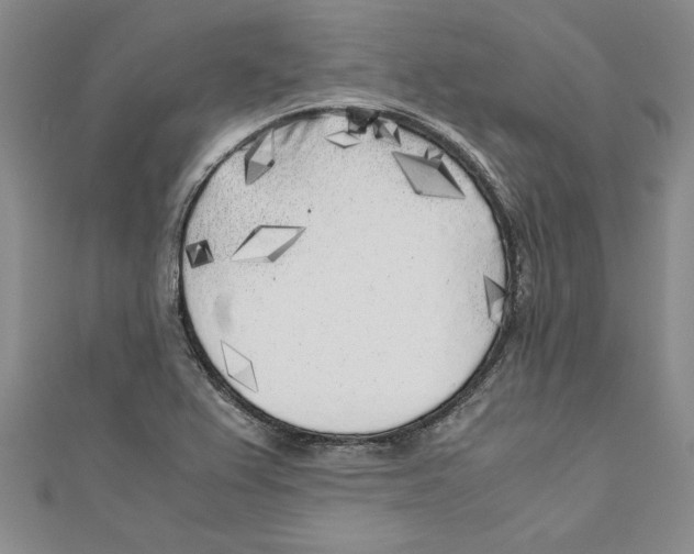 X0000110951367200907171620