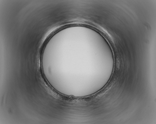 X0000110951368200907171620
