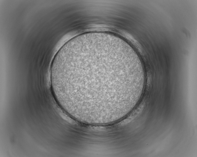 X0000110951370200907171620