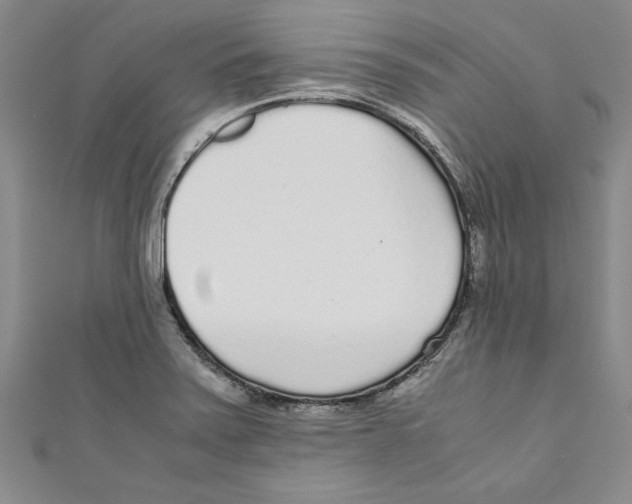 X0000110951371200907171620